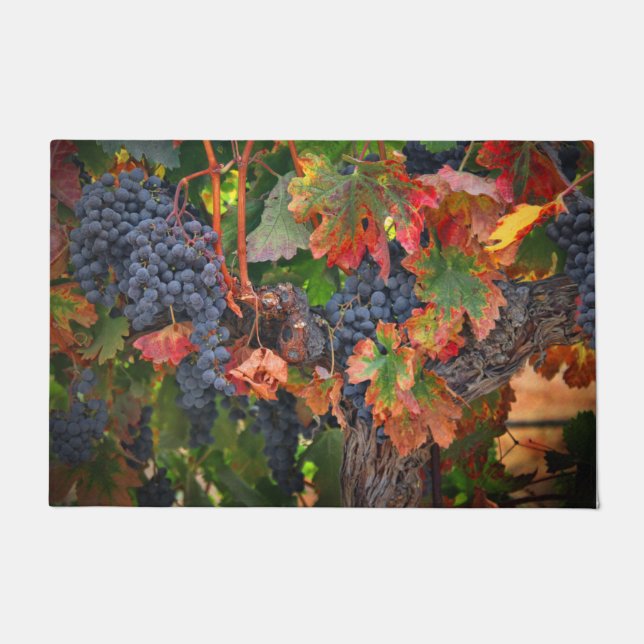 Weinanbau Weinkultur Weinberg Weinberg mit Herbstf Fußmatte (Vorderseite)