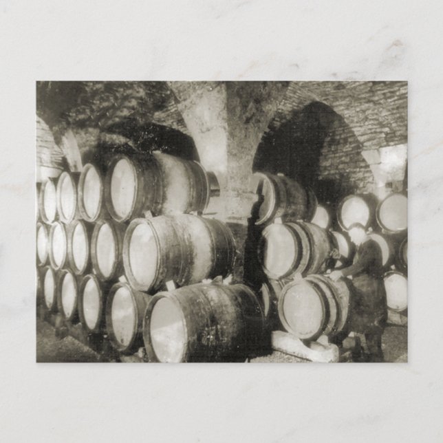 Weinbau Postkarte (Vorderseite)