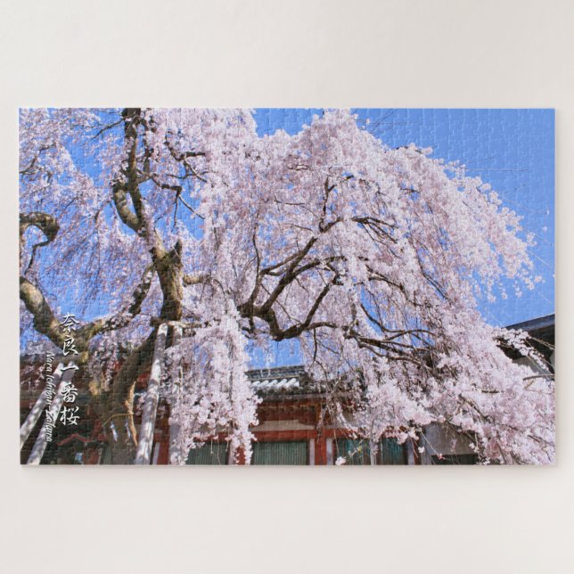 Weinbaum ("Nara Ichiban-Zakura") (Horizontal)