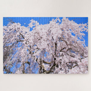 Weinbaum ("Nara Ichiban-Zakura")