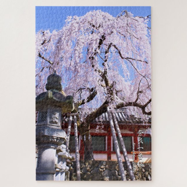 Weinbaum ("Nara Ichiban-Zakura") (Vertikal)