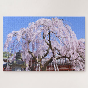 Weinbaum ("Nara Ichiban-Zakura")