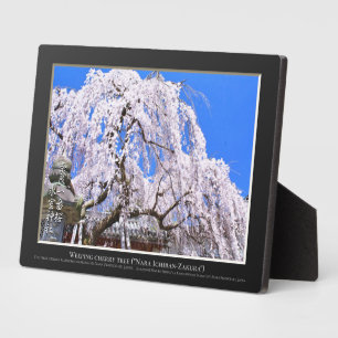 Weinbaum ("Nara Ichiban-Zakura") Fotoplatte