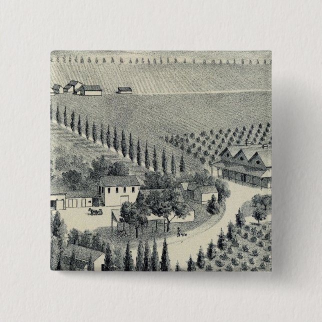 Weinberg Eggers, Fresno Button (Vorderseite)