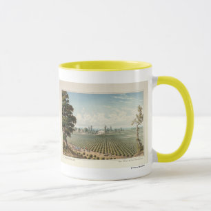 Weinberg EL Pinal, San Joaquin County Tasse
