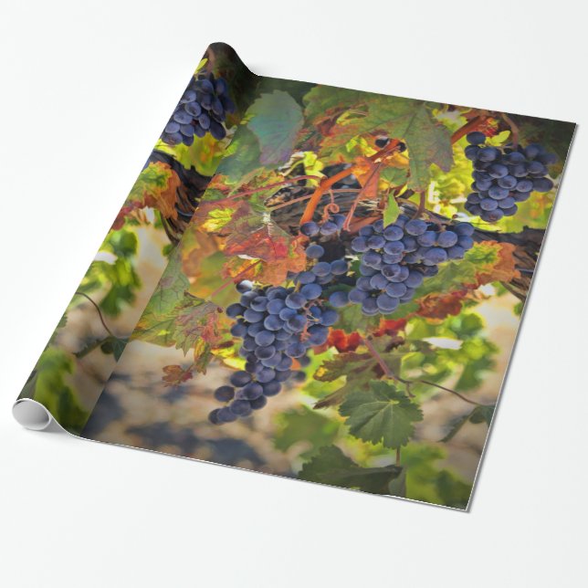 Weinberg Geschenkpapier (Ungerollt)