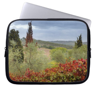 Weinberg in der Nähe von Montalcino, Toskana, Ital Laptopschutzhülle