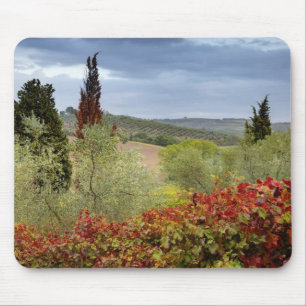Weinberg in der Nähe von Montalcino, Toskana, Ital Mousepad