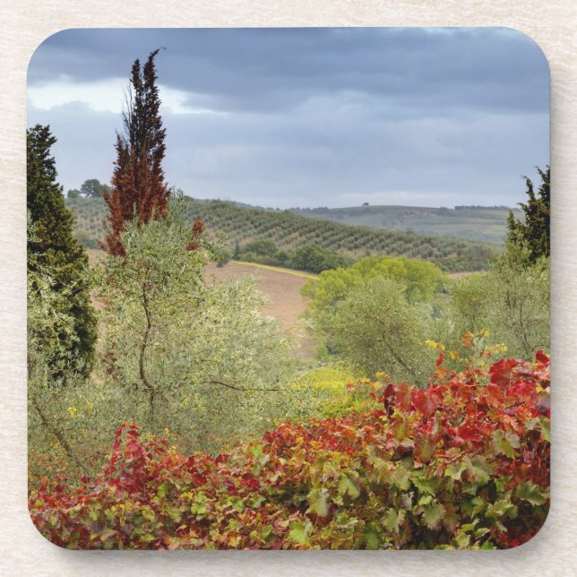 Weinberg in der Nähe von Montalcino, Toskana, Ital Untersetzer (Vorderseite)