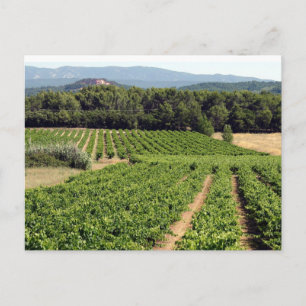 Weinberg in Frankreich Postkarte