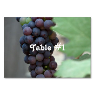Weinberg in Italien Tischnummer