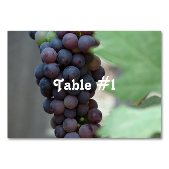Weinberg in Italien Tischnummer (Vorderseite)
