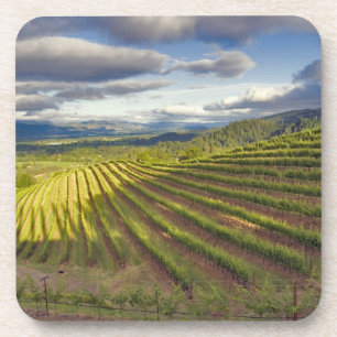 Weinberg. Napa-Tal. Napa. Napa-Landkreis Getränkeuntersetzer