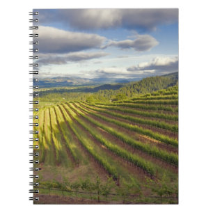 Weinberg. Napa-Tal. Napa. Napa-Landkreis Notizblock