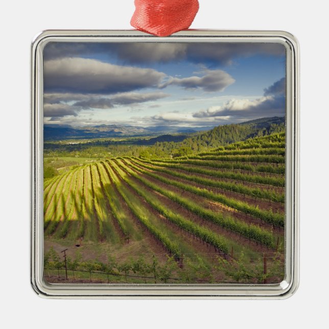 Weinberg. Napa-Tal. Napa. Napa-Landkreis Ornament Aus Metall (Vorne)
