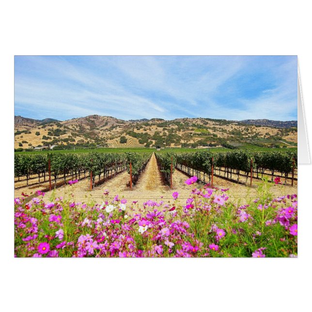 Weinberg Napa Valley Kalifornien (Vorderseite (Horizontal))