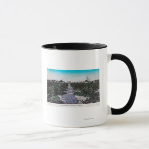 Weinberg-Szene der Trauben DryingKingsburg, CA Tasse