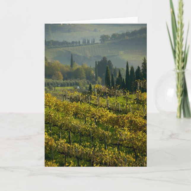Weinberg, Toskana, Italien Karte (Vorderseite)