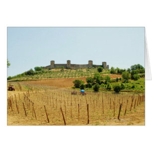 Weinberg vor einer Festung, Monteriggioni,