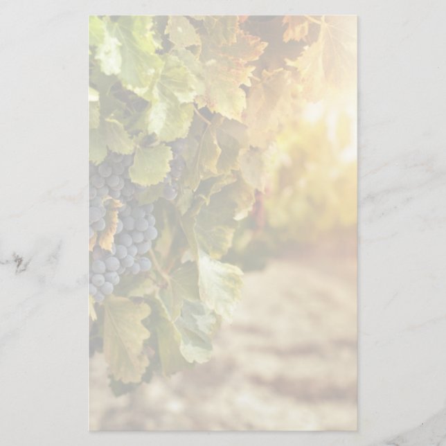 Weinberge bei Sonnenuntergang Briefpapier (Vorderseite)