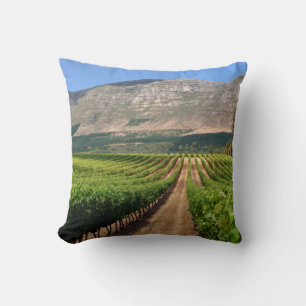 Weinberge des Groot Constantia Anwesen Kissen