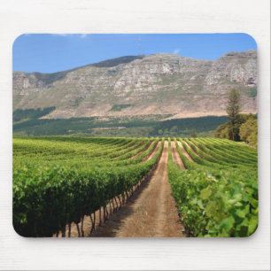 Weinberge des Groot Constantia Anwesen Mousepad
