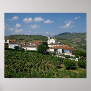 Weinberge, Dorf San Miguel, Douro Poster