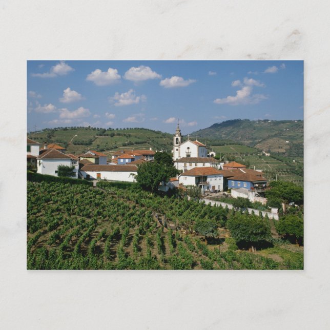 Weinberge, Dorf San Miguel, Douro Postkarte (Vorderseite)