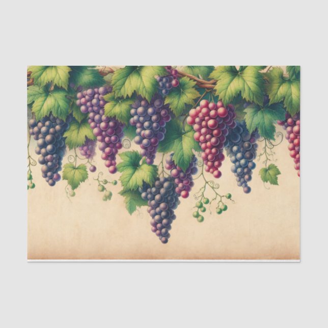 Weinberge - Grenze auf Parchment Seidenpapier (Vorderseite)