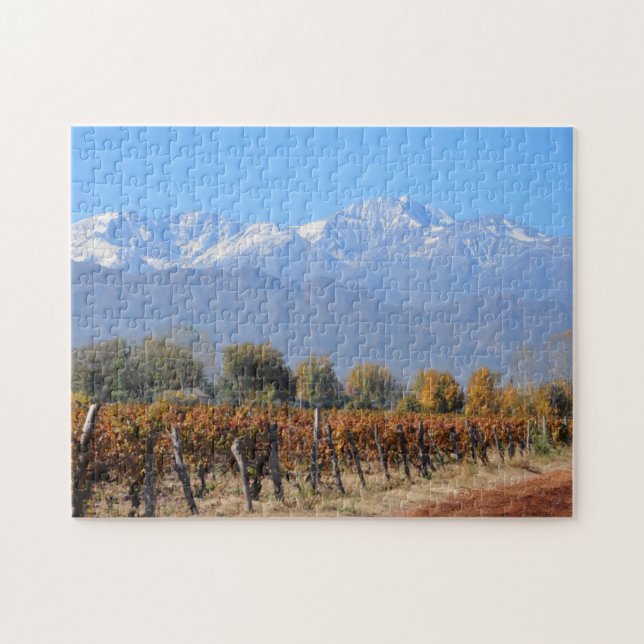 Weinberge im Fall von Mendoza, Argentinien (Horizontal)