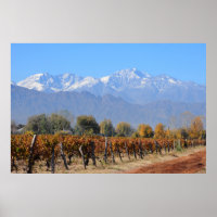 Weinberge im Fall von Mendoza, Argentinien