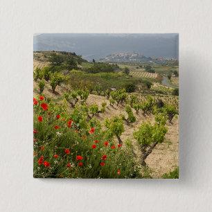 Weinberge in der Nähe von Laguardia, Hauptstadt vo Button