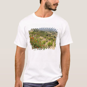 Weinberge in der Nähe von Laguardia, Hauptstadt vo T-Shirt