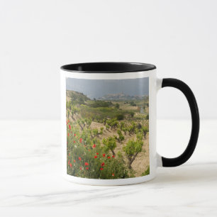 Weinberge in der Nähe von Laguardia, Hauptstadt vo Tasse
