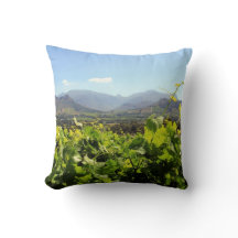 Weinberge in Franschhoek, Südafrika