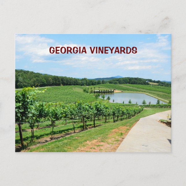 Weinberge in Georgien, USA Postkarte (Vorderseite)