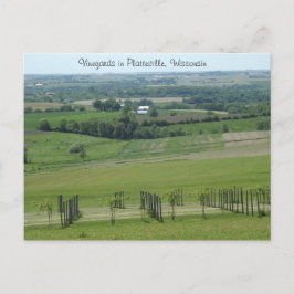 Weinberge in Platteville, Wisconsin Postcard Postkarte