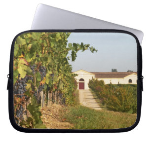 Weinberge, Petit Verdot-Reben und das Weingut in Laptopschutzhülle