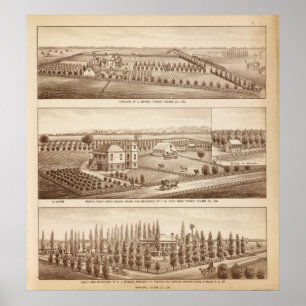Weinberge, Ranche, Tulare Co, Kalifornien Poster