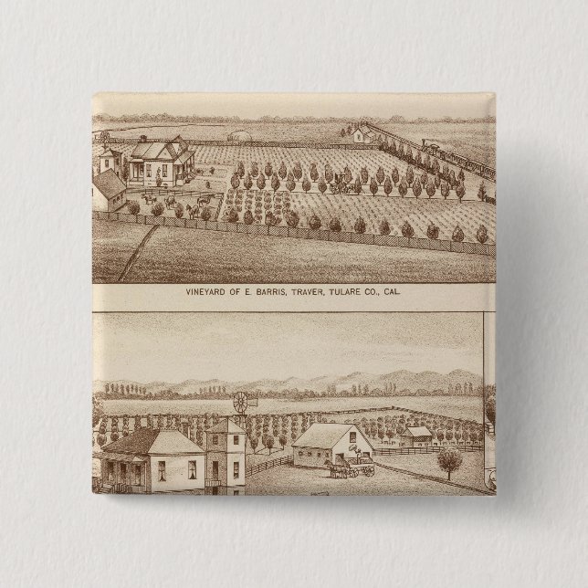 Weinberge, Ranches, Tulare Co, Kalifornien Button (Vorderseite)