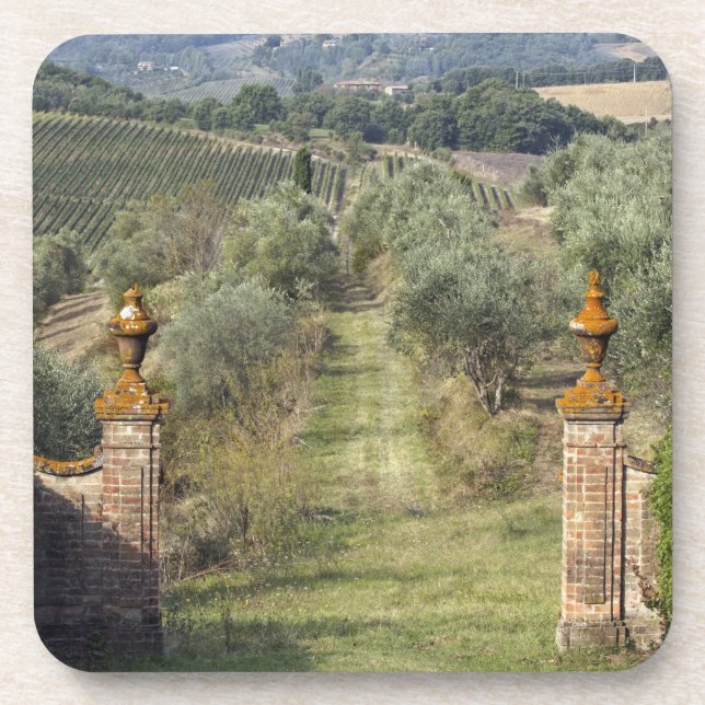 Weinberge, Toskana, Italien Getränkeuntersetzer (Vorderseite)