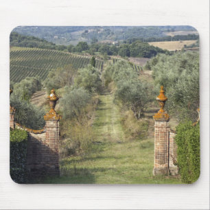 Weinberge, Toskana, Italien Mousepad