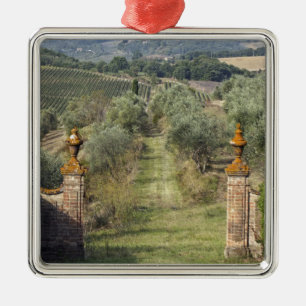 Weinberge, Toskana, Italien Ornament Aus Metall