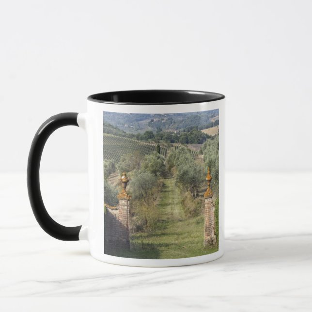 Weinberge, Toskana, Italien Tasse (Links)