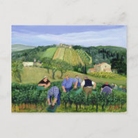 Weinberge und Sonnenblumen