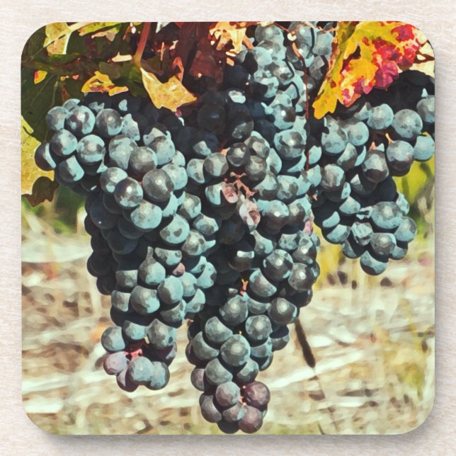 "Weinberge" Untersetzer (Vorderseite)