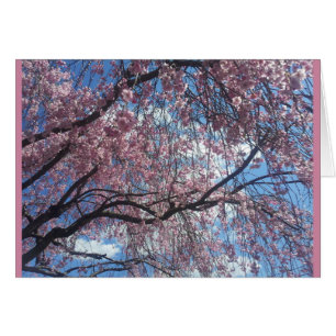 Weinen gegen einen blauen Himmel