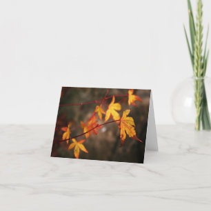 Weinende Herbst-Anmerkungs-Karte Karte