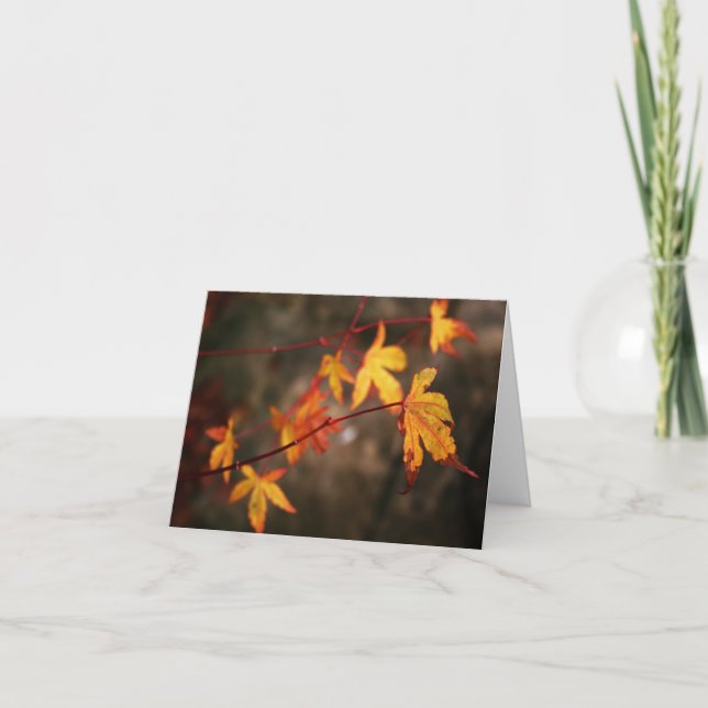 Weinende Herbst-Anmerkungs-Karte Karte (Vorderseite)