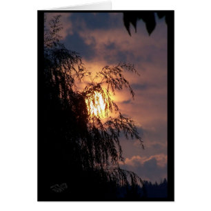 Weinende Weide an der Sonnenaufgang-Karte